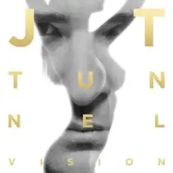 A black-and-white close-up of a man's face within a naked woman's silhouette. With golden letters within the covers, the words 'JT' and 'Tunnel Vision' are written.