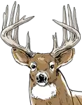 Official logo of Buck Township, Pennsylvania