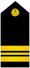 Shoulder boards for short-sleeve shirt and tropical white tunic (old insignia)