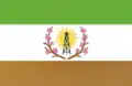 Flag of General Mosconi (Salta)