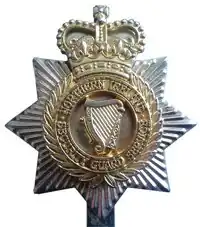 Cap Badge of the Northern Ireland Security Guard Service