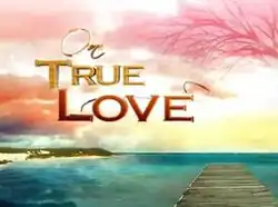 An image of a wooden platform, with a body of water, an island and a sky on the background. The series title is displayed on the left side of the image.