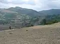 Around Dzhanka village