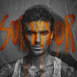 An image of a dirty person with black and white effects with orange text saying "Survivor" in front of it
