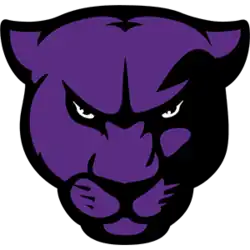 The face of a purple panther