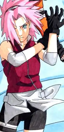 A kunoichi wearing a red shirt and black shorts under a light-colored skirt