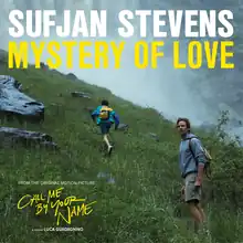 A background displaying waterfalls in Bergamo, Italy, with actors Timothée Chalamet and Armie Hammer hiking in the background and foreground, respectively.