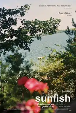 A shot of a river behind a bush.