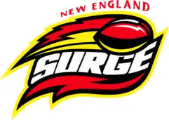 New England Surge logo