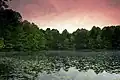 Sunrise at Terrel Pond