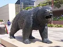 The statue of the UCLA Bruin, on Bruin Walk. The statue was designed by Billy Fitzgerald.[111]