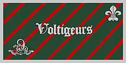 Regimental camp flag