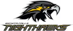 Wichita Falls Nighthawks logo