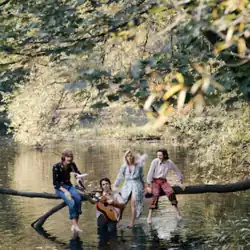 An image of four individuals—three men and one woman—standing in a country creek. One of them is standing in the water holding a guitar, while the other three sit on a fallen tree branch.