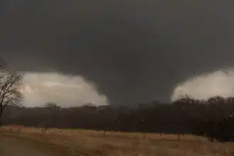 A dark tornado sits behind a row of trees