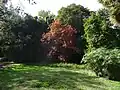 Les jardins.