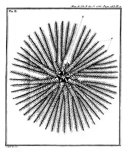 1re partie[58], pl. 2