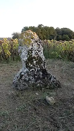 Image illustrative de l’article Menhir de la Grande Pierre