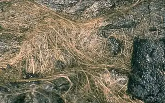 Cheveux de Pélé émis par le Puʻu ʻŌʻō.