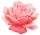 icône décorative