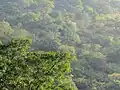 Le paysage montagneux caractéristique