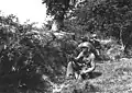 GI's américains combattant dans le bocage.