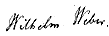 signature de Wilhelm Eduard Weber