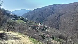 Padež (Leskovac)