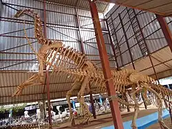 Squelette de dinosaure (reconstitution en bois).