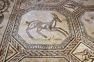 Antilope