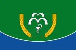 Drapeau de Raïon de Koumiony