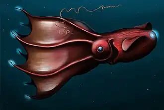 Vampire des abysses