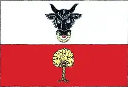 Drapeau de Ujčov