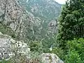 Les gorges de la Spelonca depuis le sentier d’Evisa