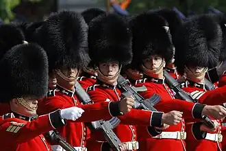 Image illustrative de l’article Welsh Guards