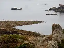 Queue de comète située dans la partie nord-est de la pointe de Primel
