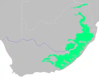 Image illustrative de l’article Drakensberg (chaîne de montagnes)