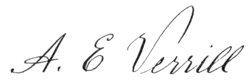 signature d'Addison Emery Verrill