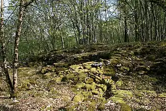 Rempart et restes de cabordes, lieu-dit le Chataillon.