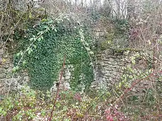 Le castrum d'Andone envahi par la végétation en 2010.