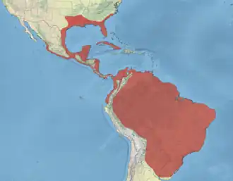 Description de l'image Anhinga Range.png.
