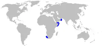 Description de l'image Apristurus indicus distmap.png.