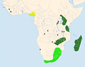 Description de l'image ApusBarbatusDistribution.png.