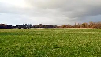 Argleton