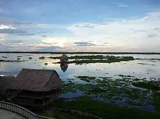 Vue sur la rivière Itaya.