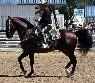 Cheval Aztèque monté.