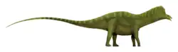 Reconstitution de l'apparence d'un Bajadasaurus, à partir de celle d'un Amargasaurus et des différences connues entre les deux genres.