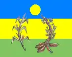 Drapeau de Pedro Gual