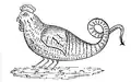 Dessin d'un gros coq à quatre pattes et à queue de serpent