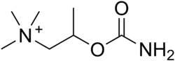 Image illustrative de l’article Béthanéchol